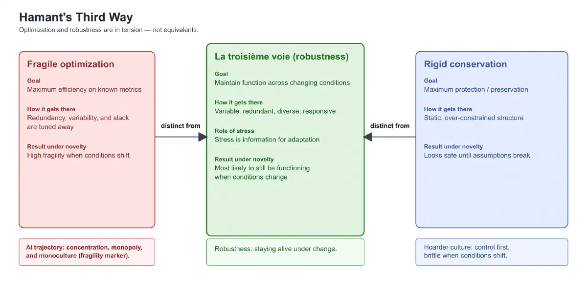 AI: The robustness imperative