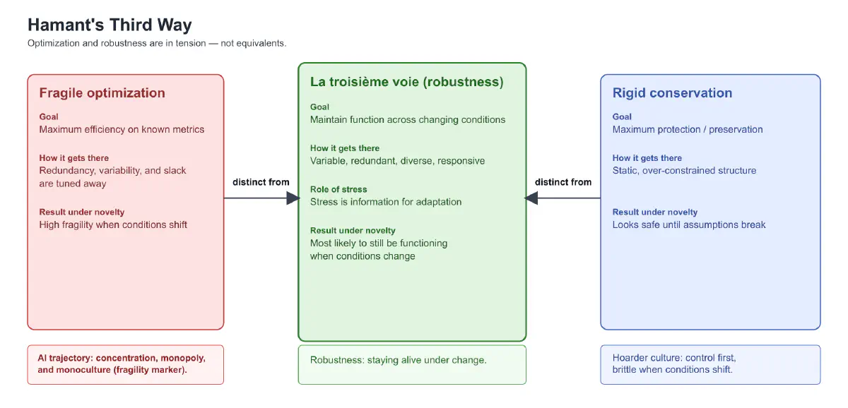 AI: The robustness imperative