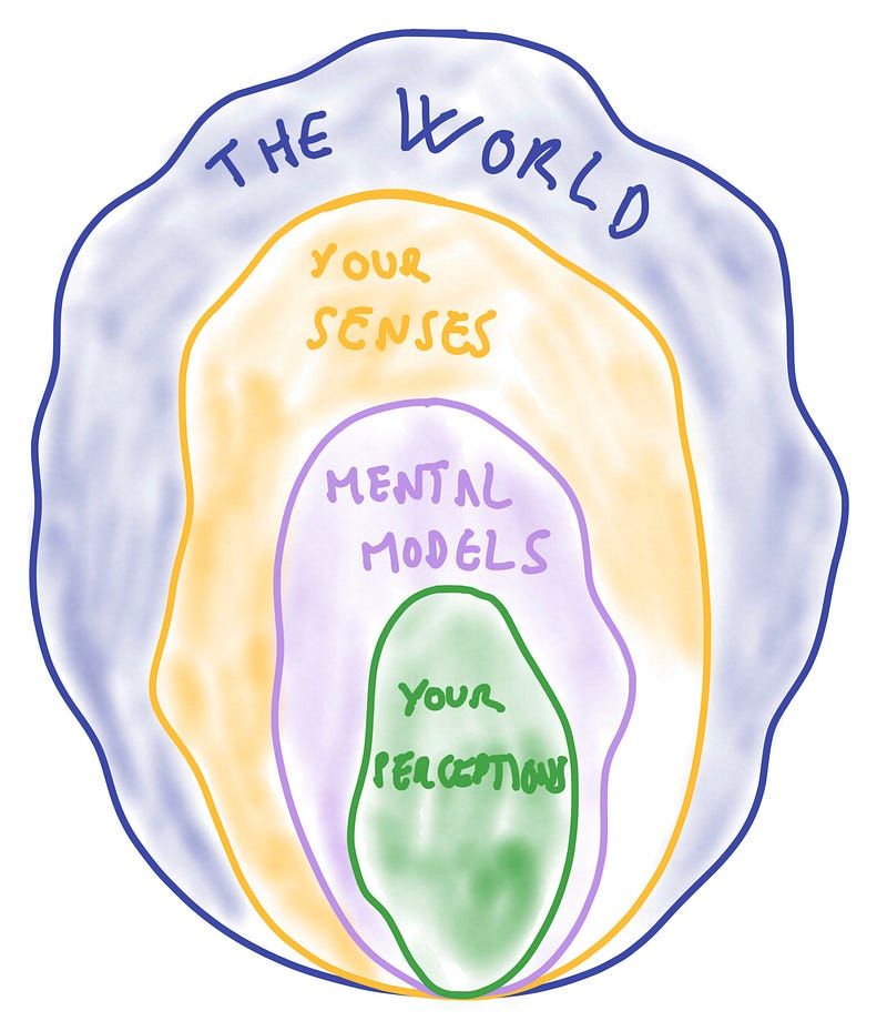 How mental models interact with your views of the world. All illustrations by the author.